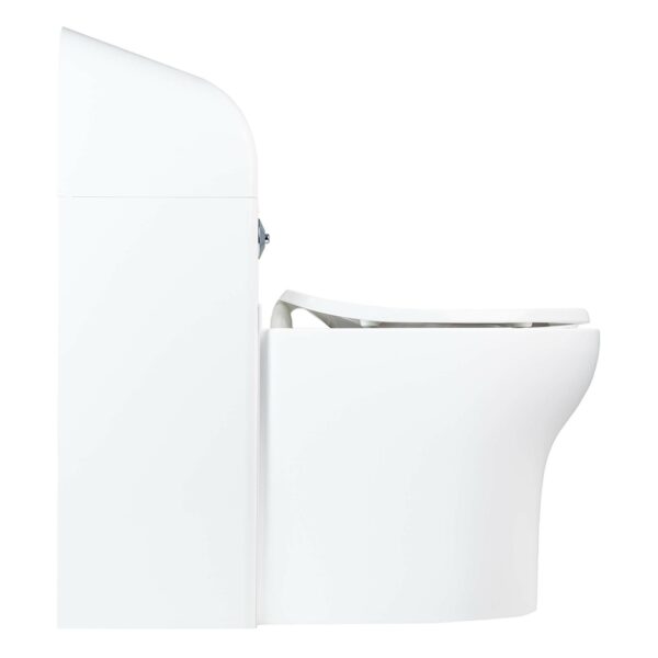 Ligature Resistant Solid Surface Toilet and Flush Cover - Image 4