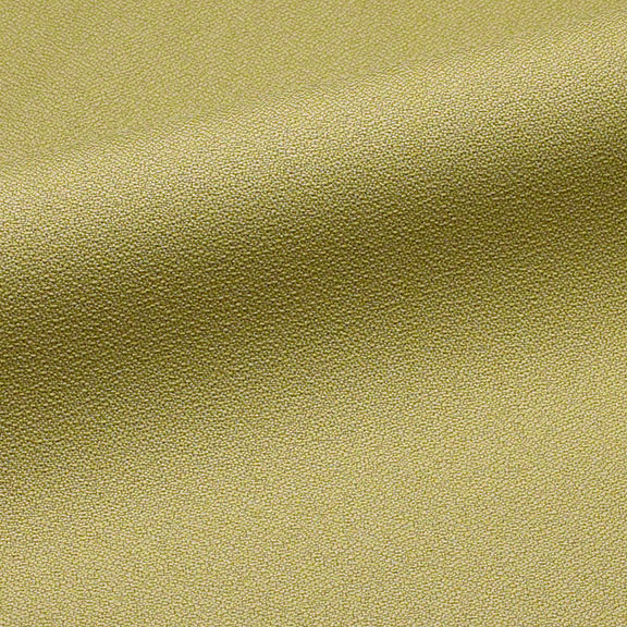 Celadon color fabric