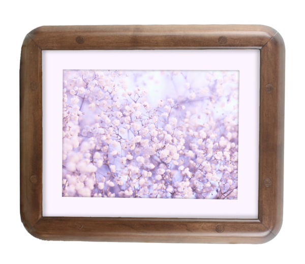 Ligature Resistant Art Frame