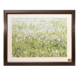 Ligature resistant picture frame featuring a serene image of a flower field, designed with safety features to prevent ligature while maintaining a calming aesthetic