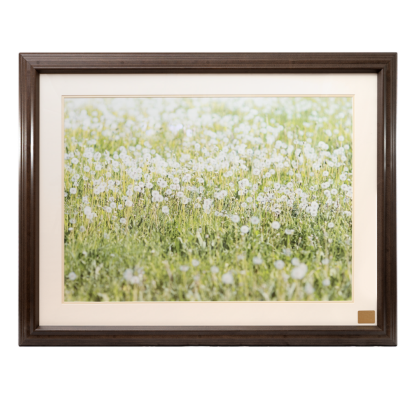 Ligature resistant picture frame featuring a serene image of a flower field, designed with safety features to prevent ligature while maintaining a calming aesthetic
