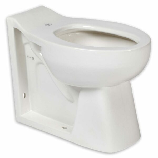 Floor/Wall Mount Toilet