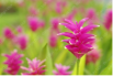 bb5743cc-800a-4cf5-a076-e9165d45e4b2